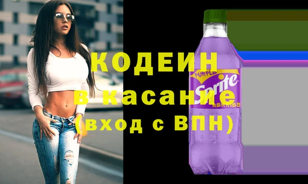 шишки Алзамай