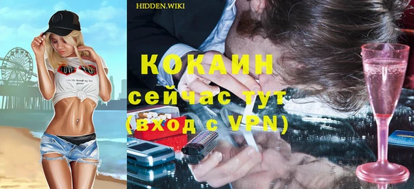 шишки Алзамай