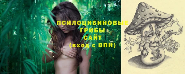 шишки Алзамай