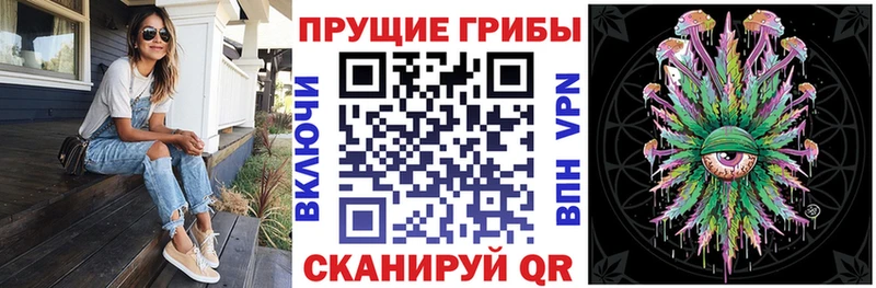 ОМГ ОМГ вход  Перевоз  Псилоцибиновые грибы MAGIC MUSHROOMS 
